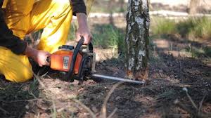 Best Lawn Drainage Solutions  in Deer Park, TX